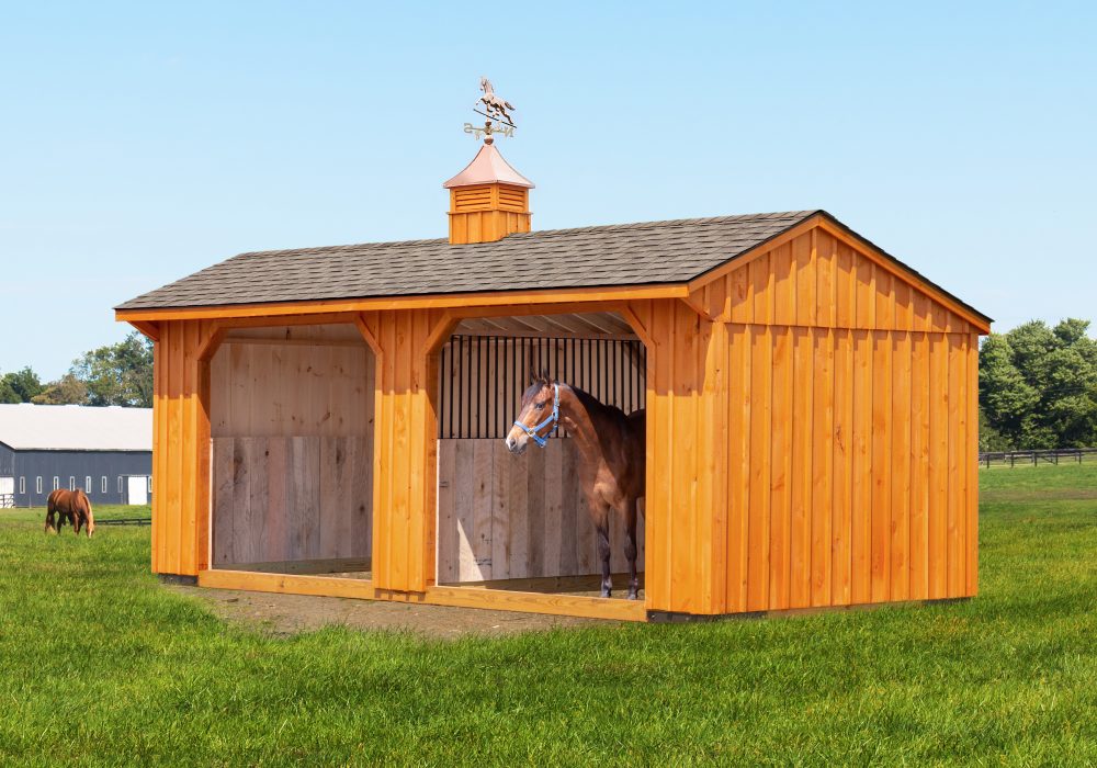 horse run in shed