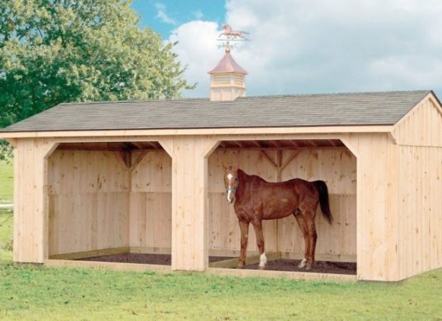 Shop Our Mini Horse Barn Options
